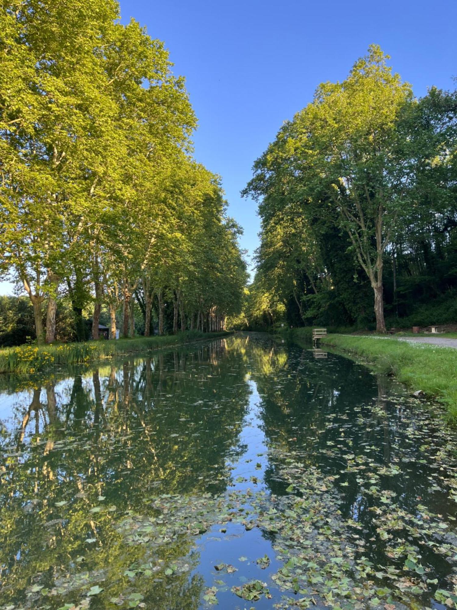 Gite Le Coup De Pompe Ecluse 47 Meilhan-sur-Garonne エクステリア 写真